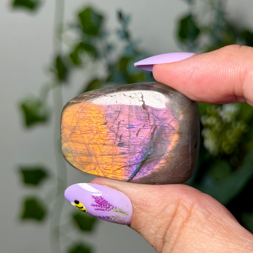 Mini Sunset Labradorite 6C