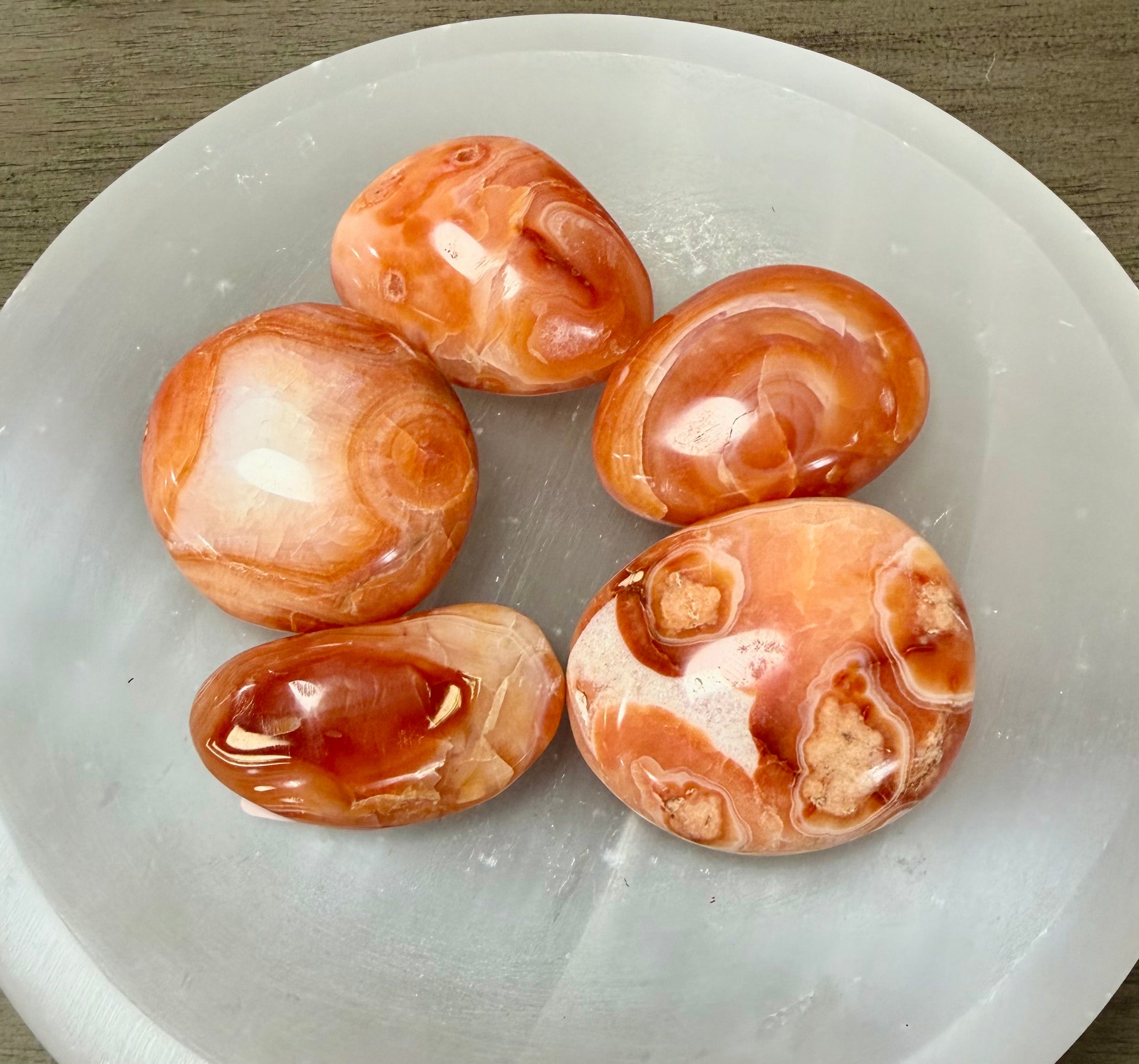 Carnelian Palms - You Choose!