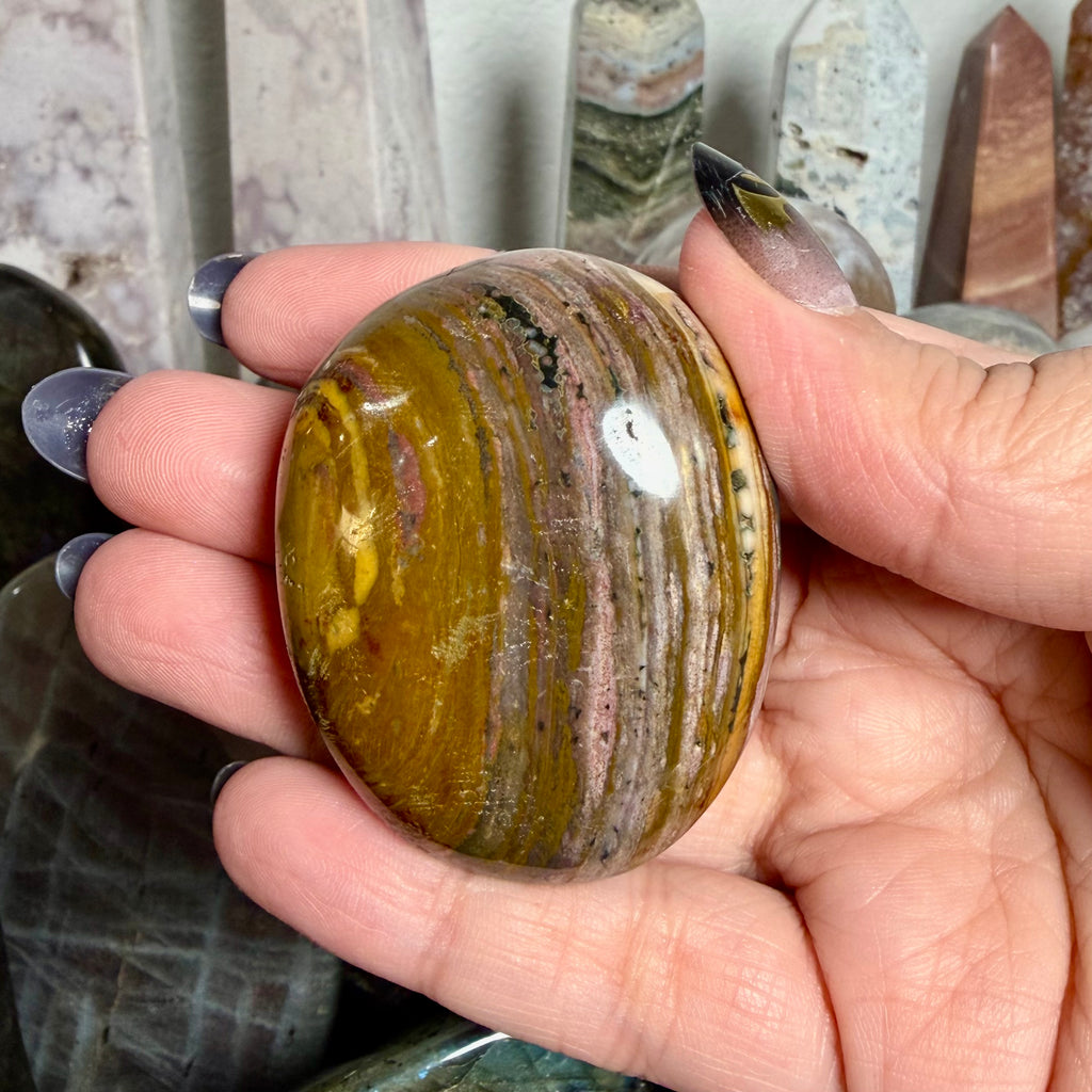 Ocean Jasper Palm 11C