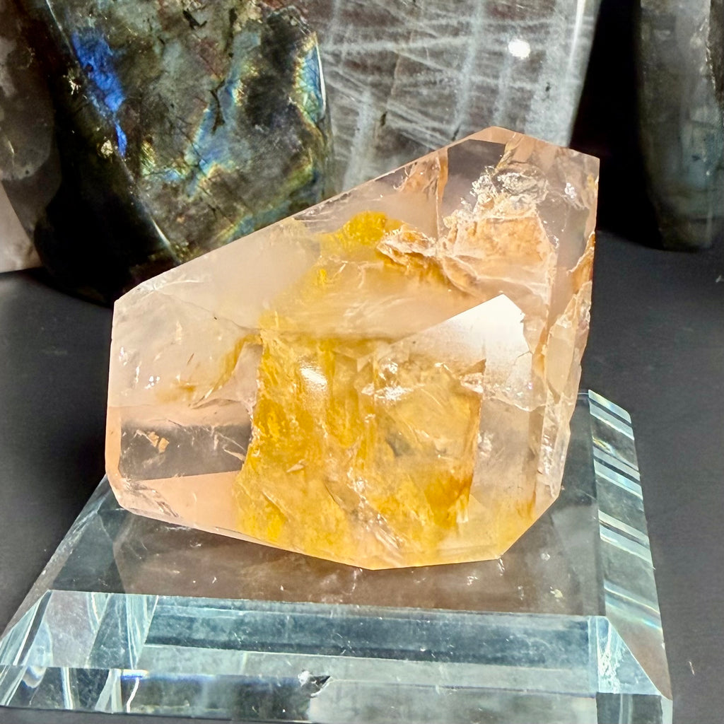 Rose Quartz Golden Healer Freeform 30