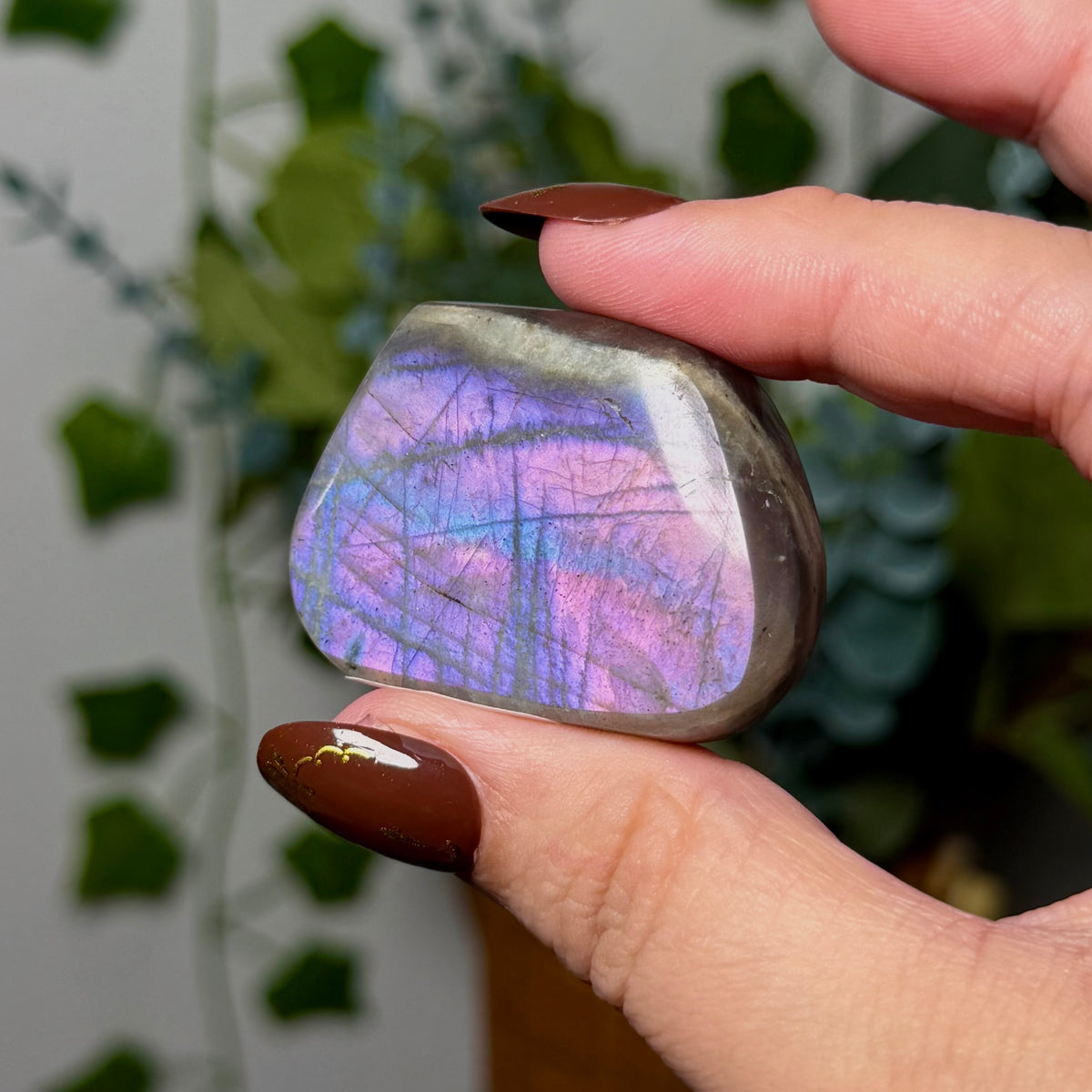 Purple Blue Labradorite 8M