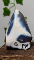 You Choose-Orca Agate Freeforms