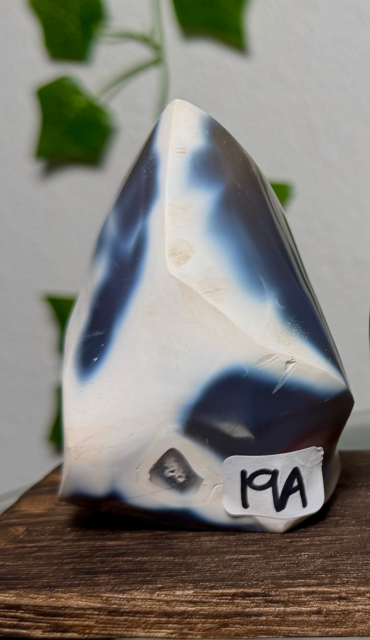 You Choose-Orca Agate Freeforms
