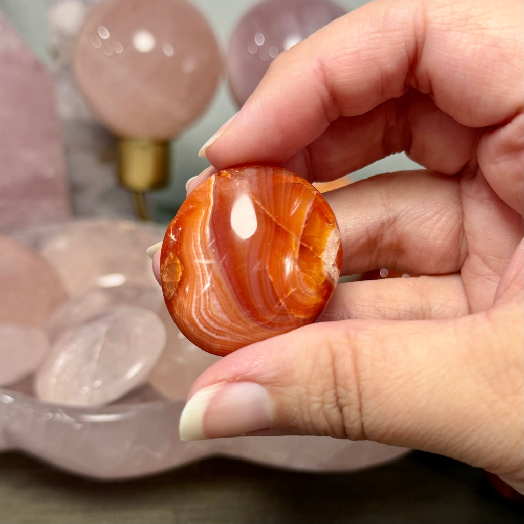 Carnelian Palms - You Choose!