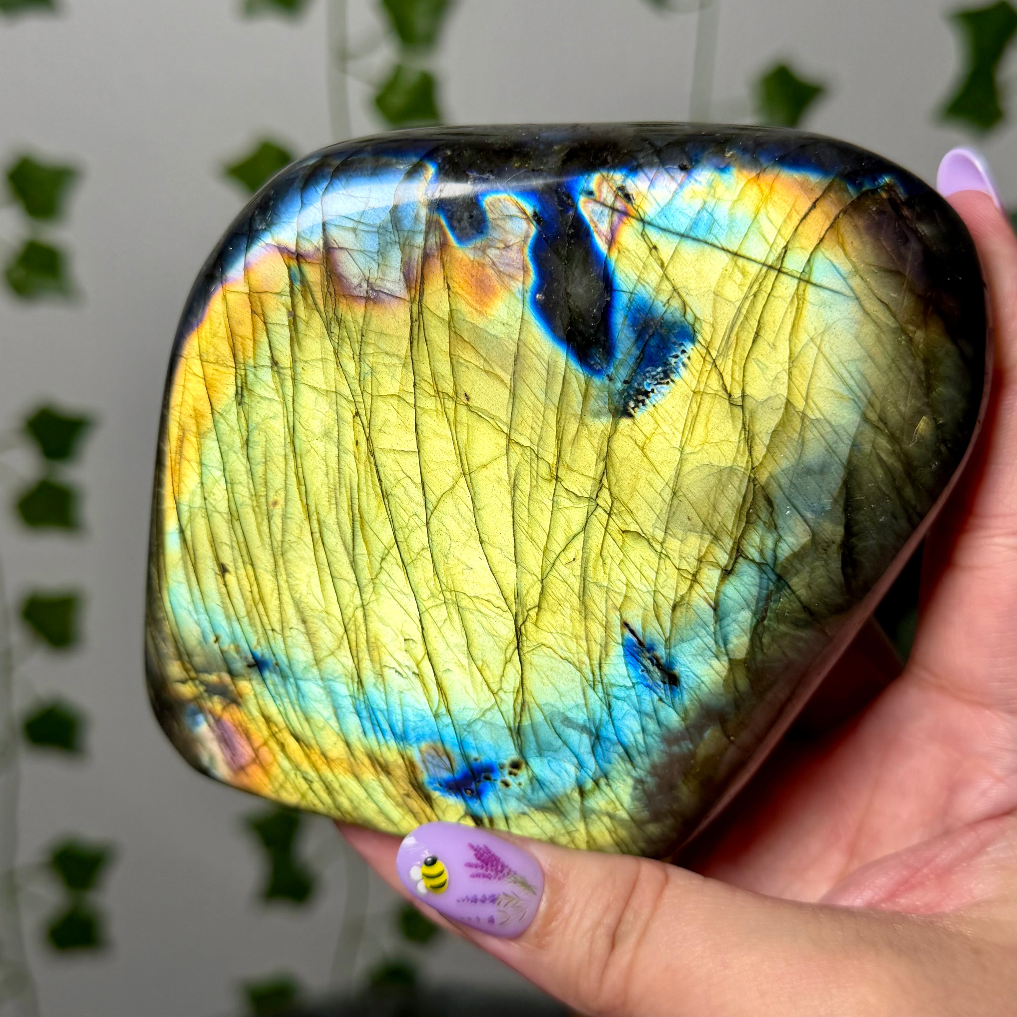 Large Labradorite FF 76