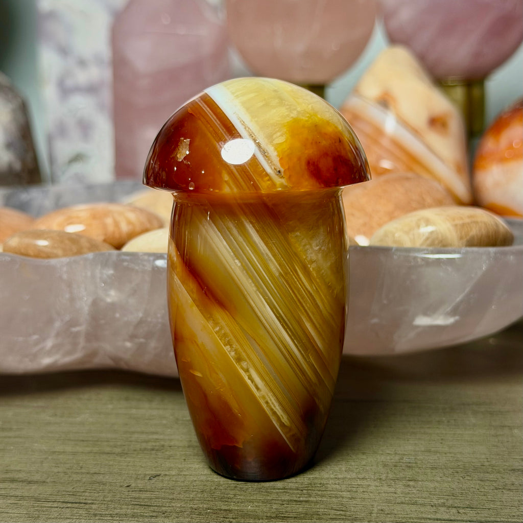 Carnelian Mushroom