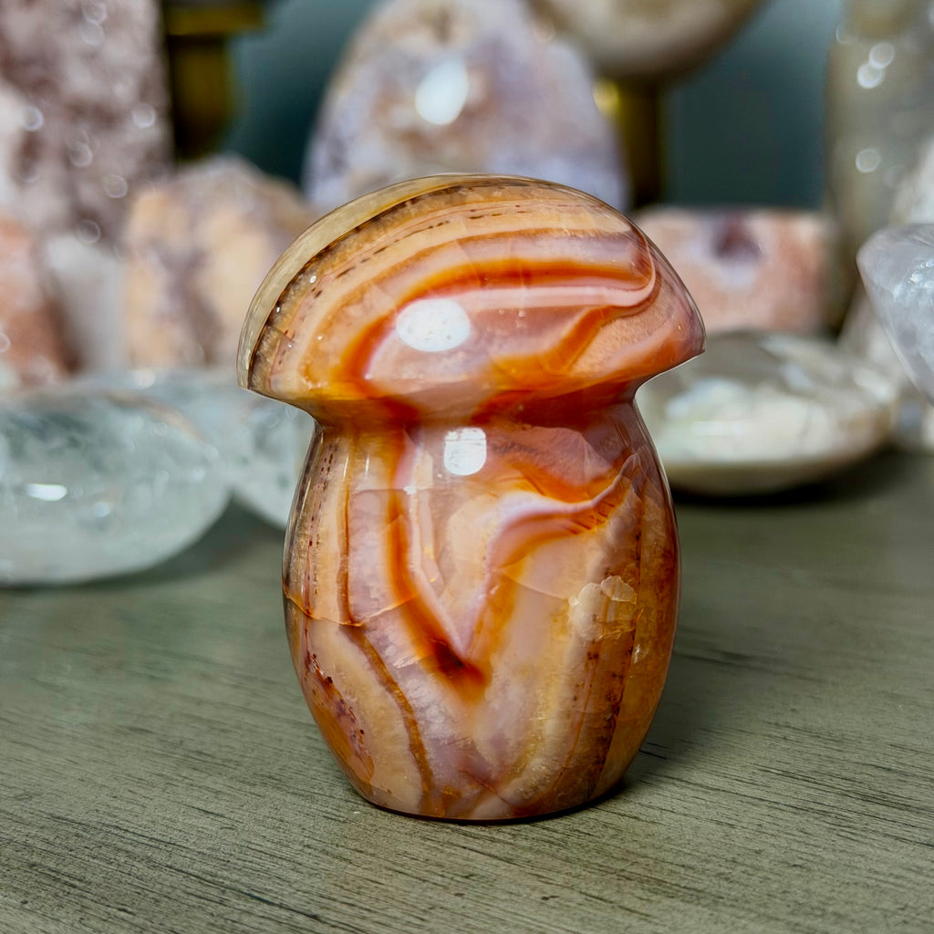 Carnelian Mushroom