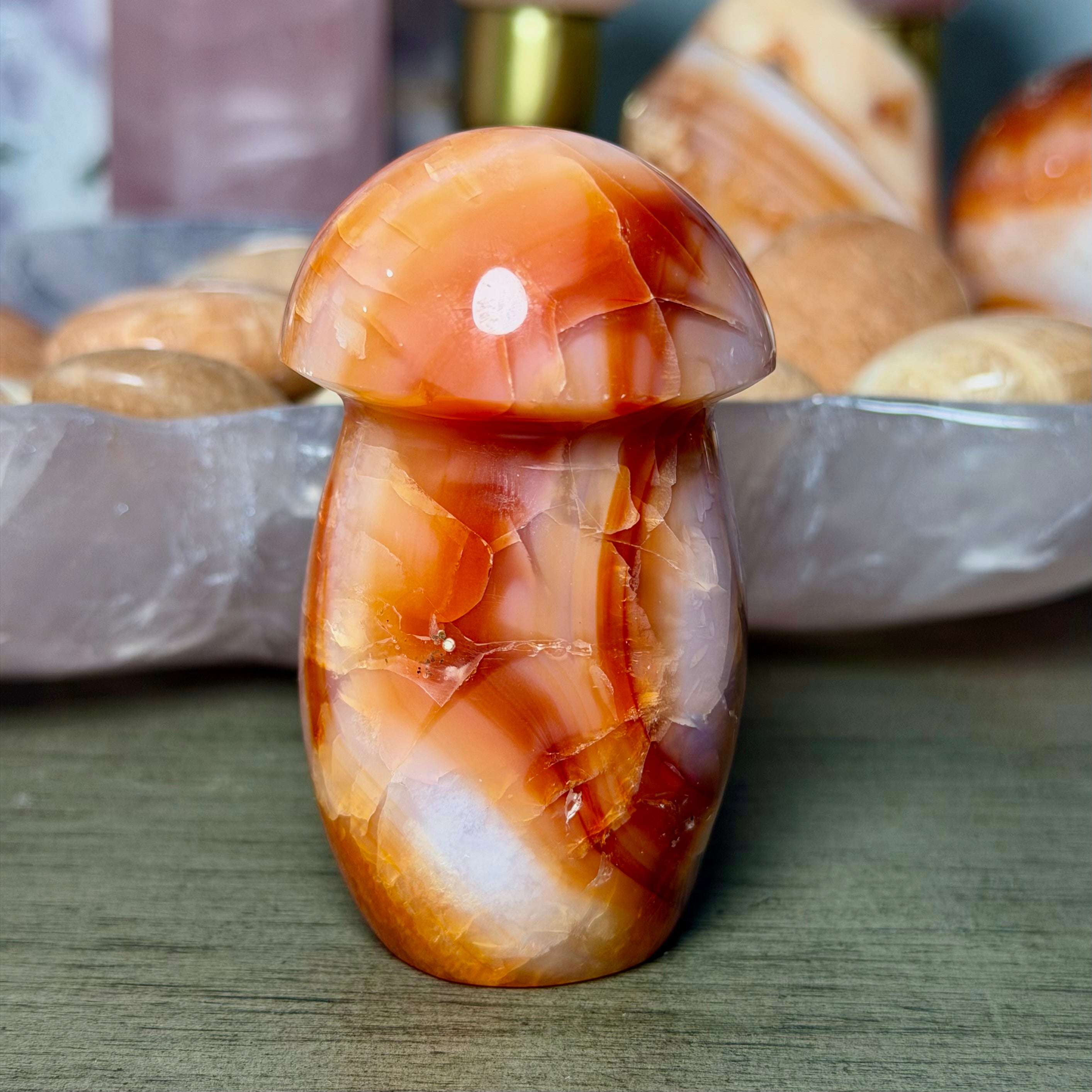 Carnelian Mushroom