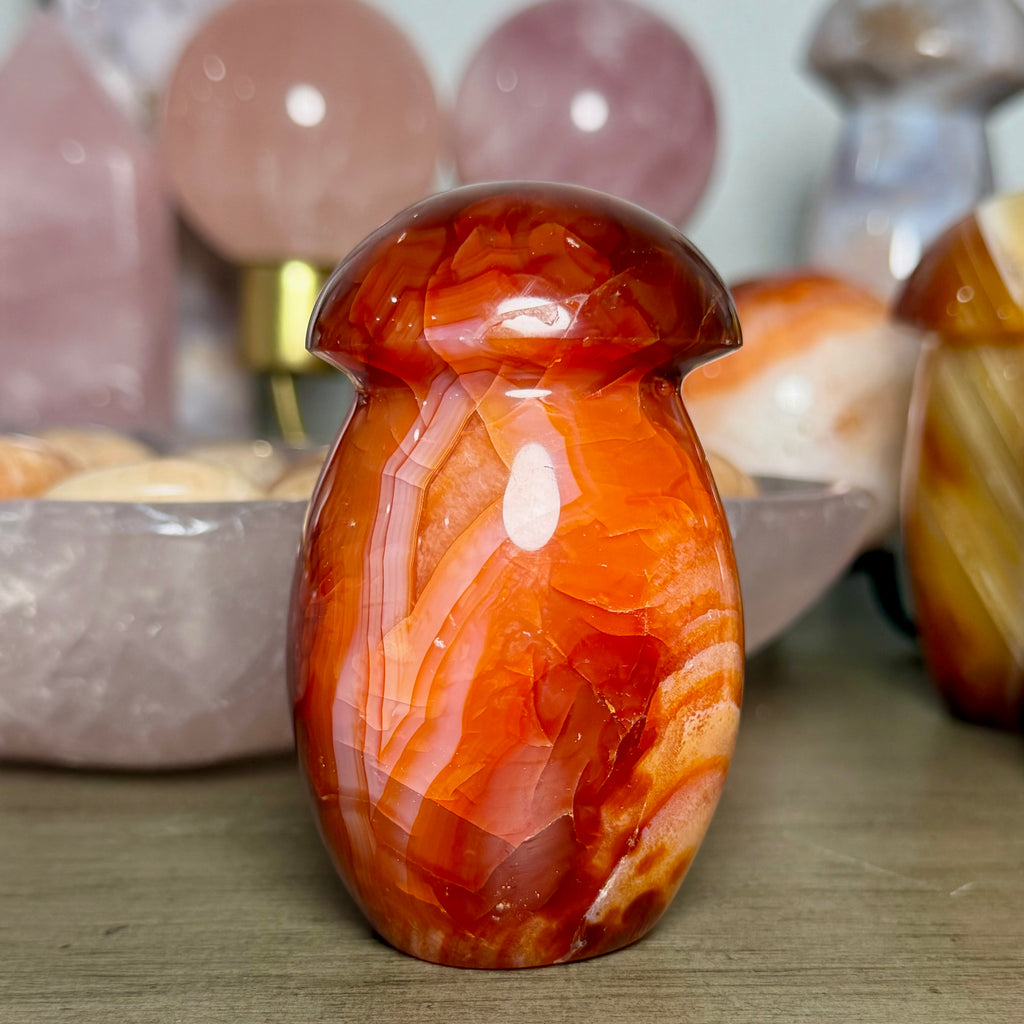 Carnelian Mushroom