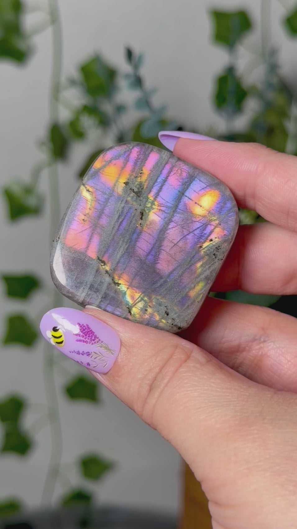 Multi Color Labradorite 10G