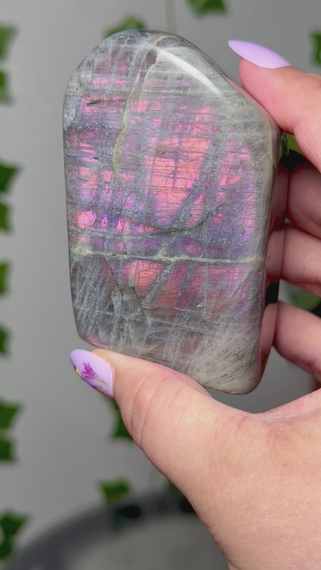 Pink Labradorite Freeform 40