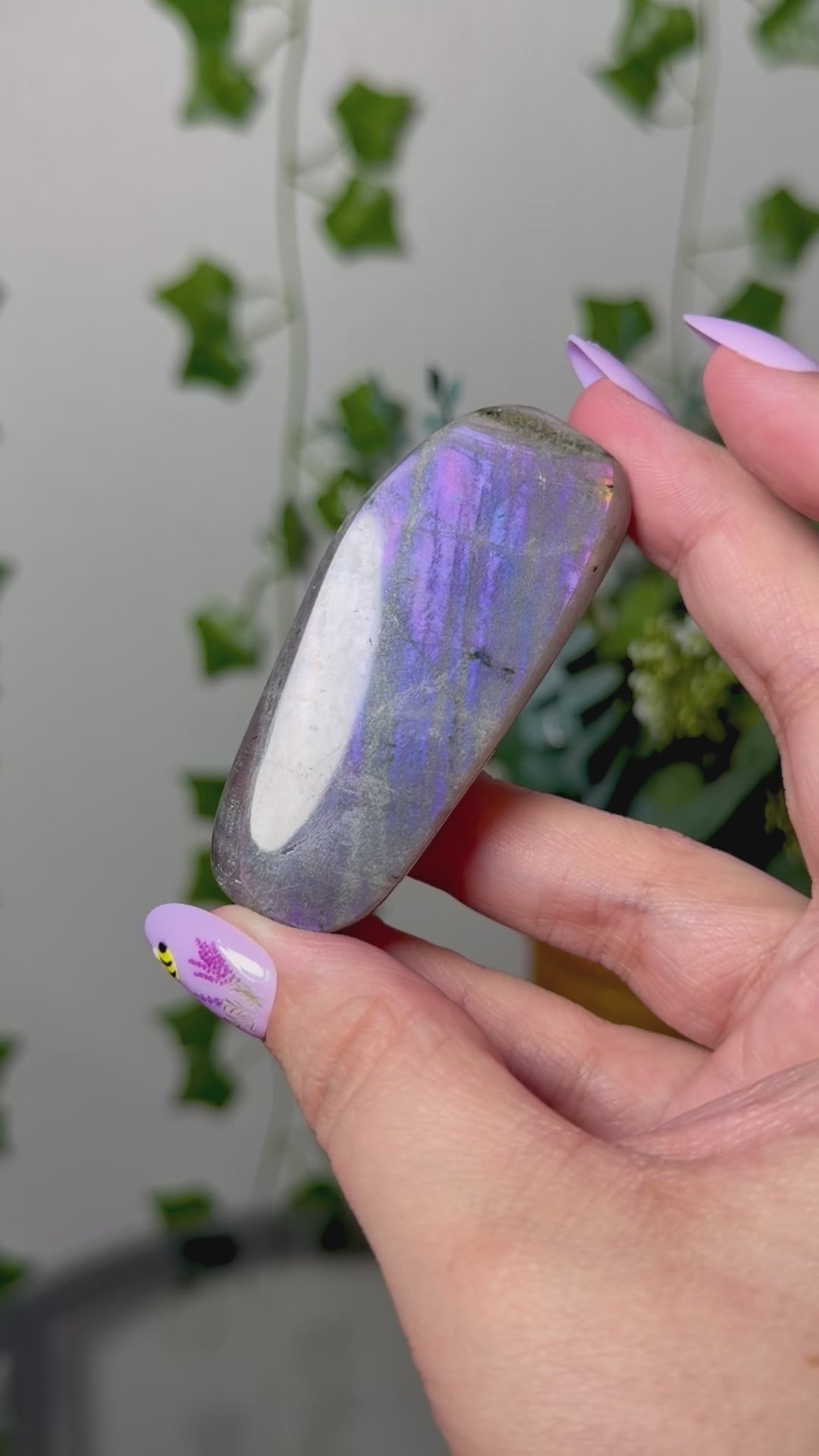 Purple Labradorite 12B