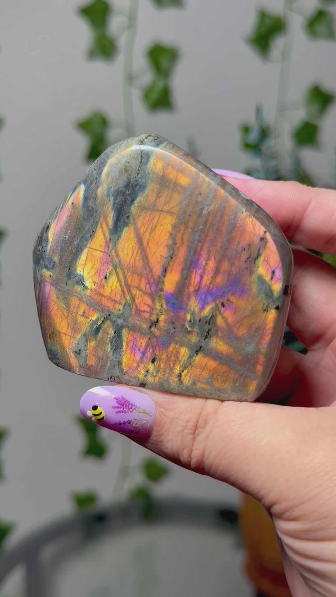 Orange Labradorite Freeform 49