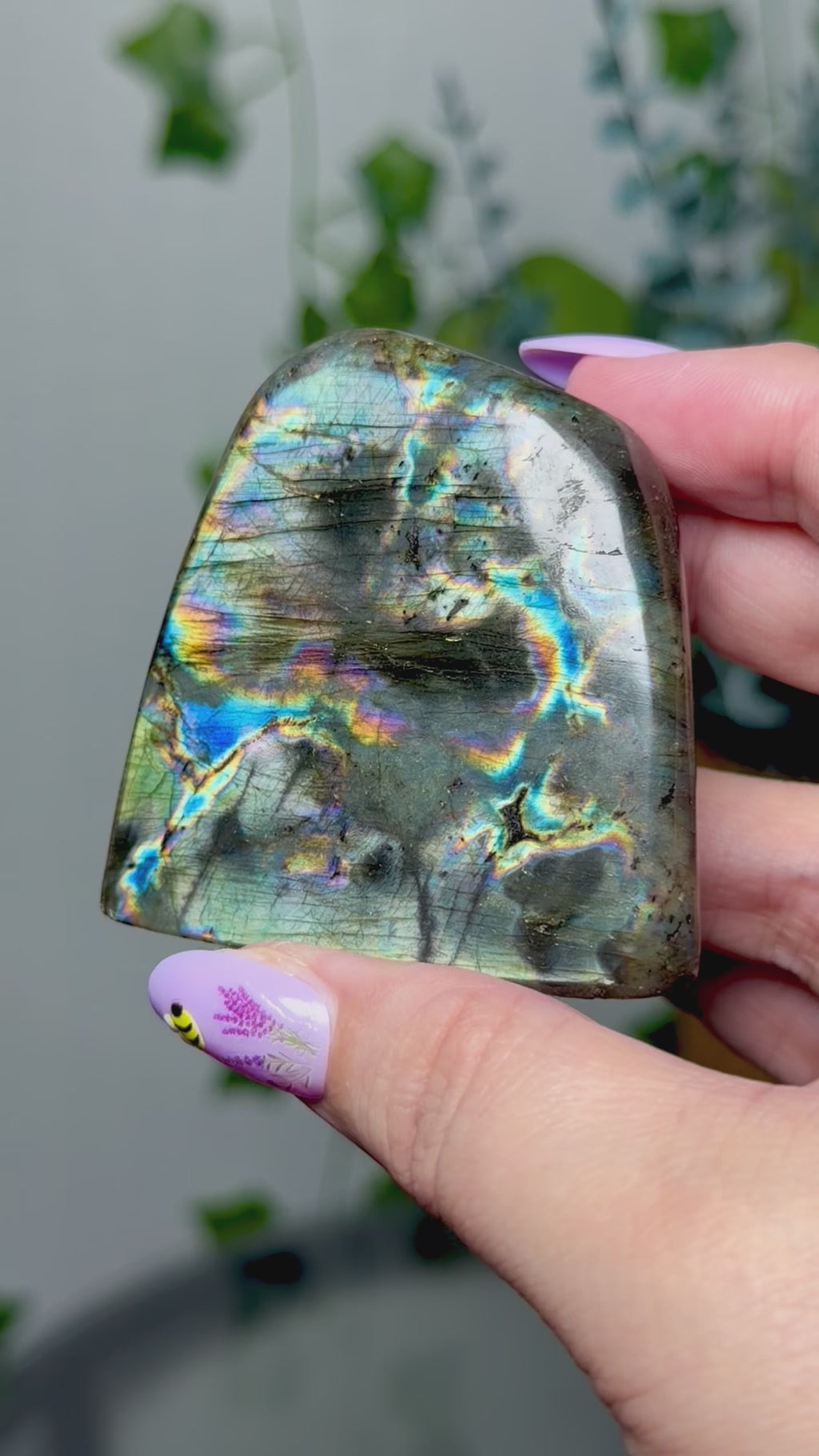 Aqua Silver Sheen Labradorite Freeform 22