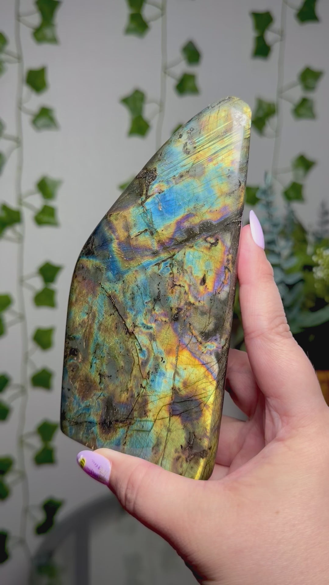 Large multi color Labradorite Freeform 70