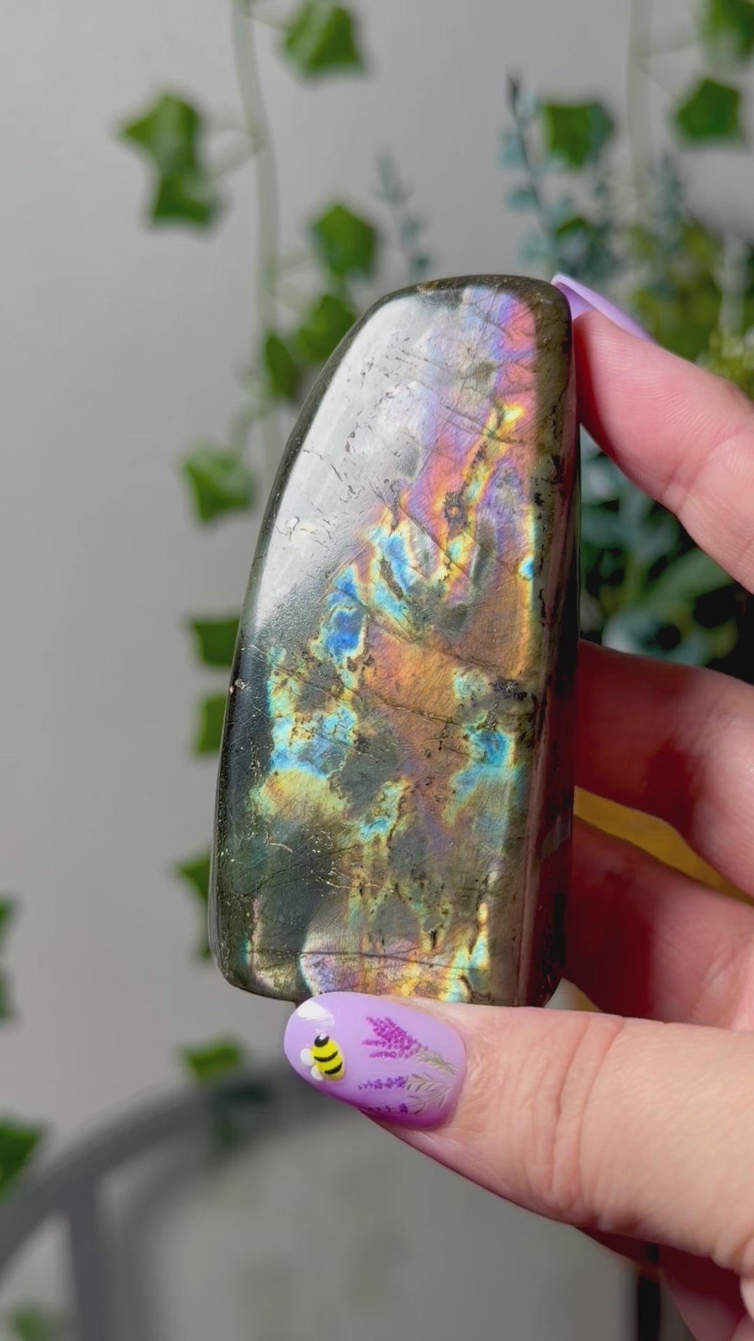 Multi Color Labradorite Freeform 23