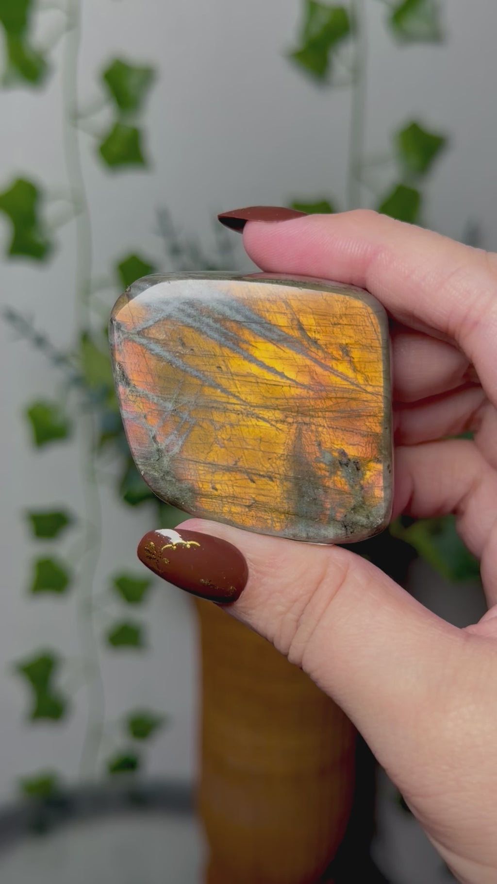 Golden Orange Labradorite 14M