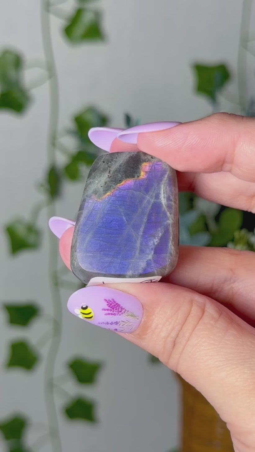 Mini Purple Labradorite 6B