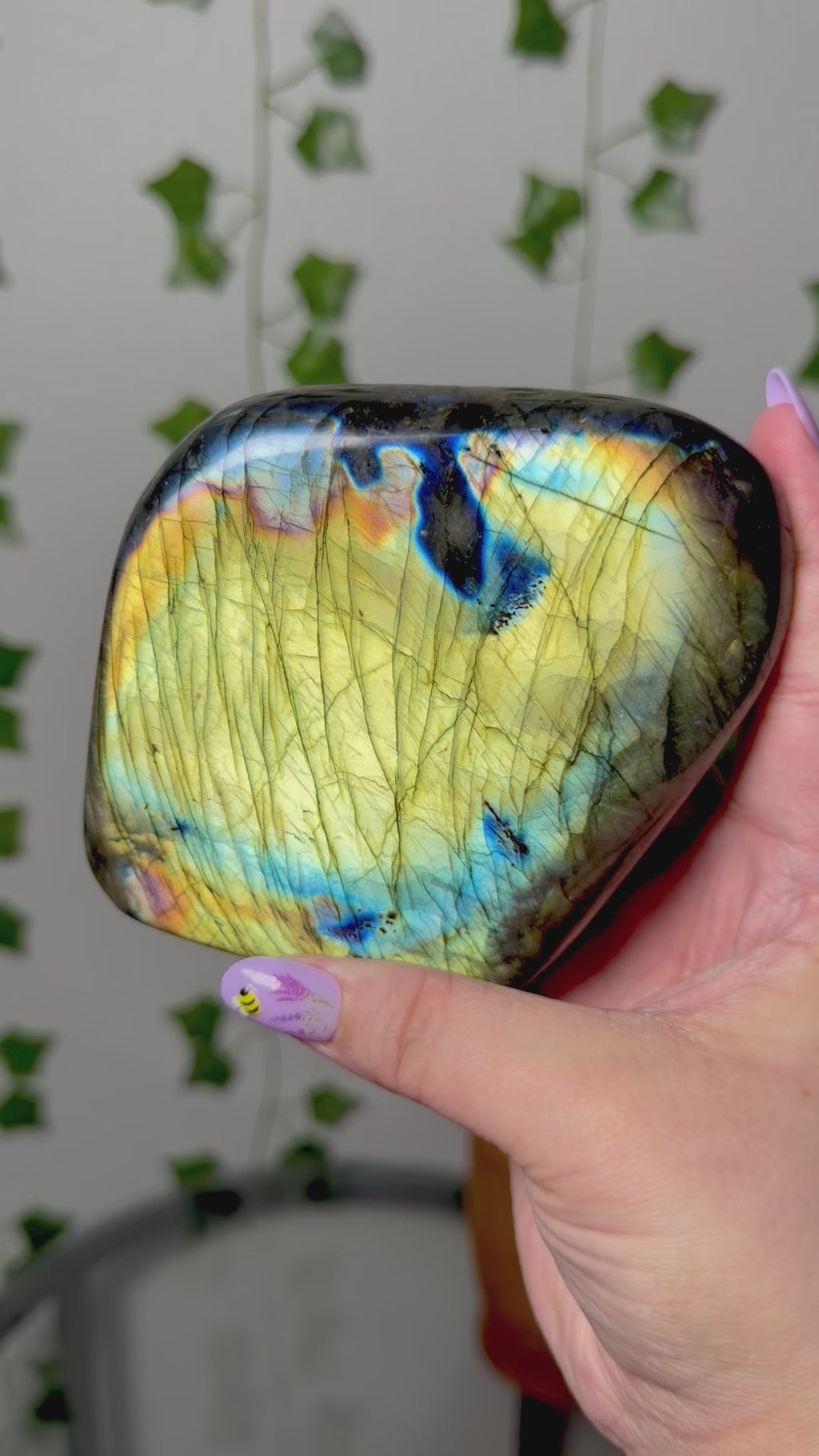 Large Labradorite FF 76