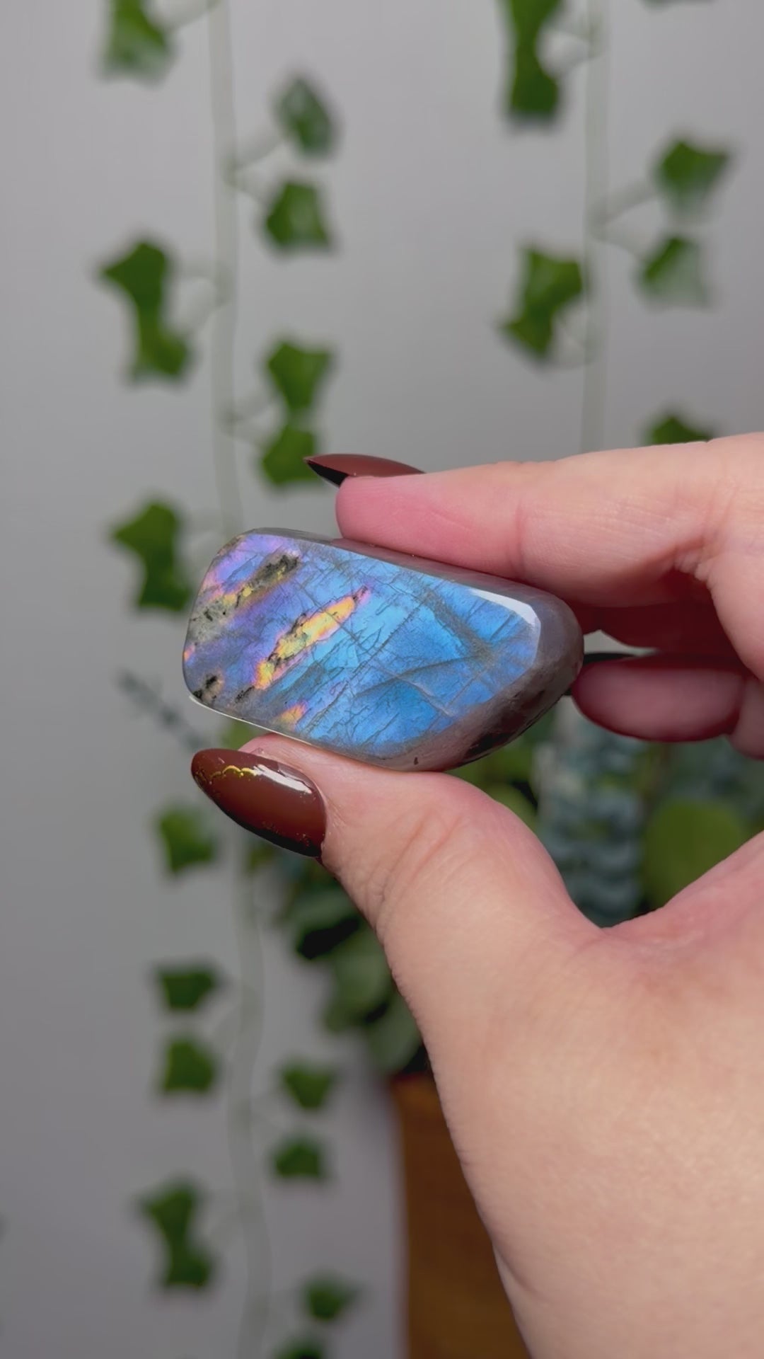 Blue Labradorite 6M