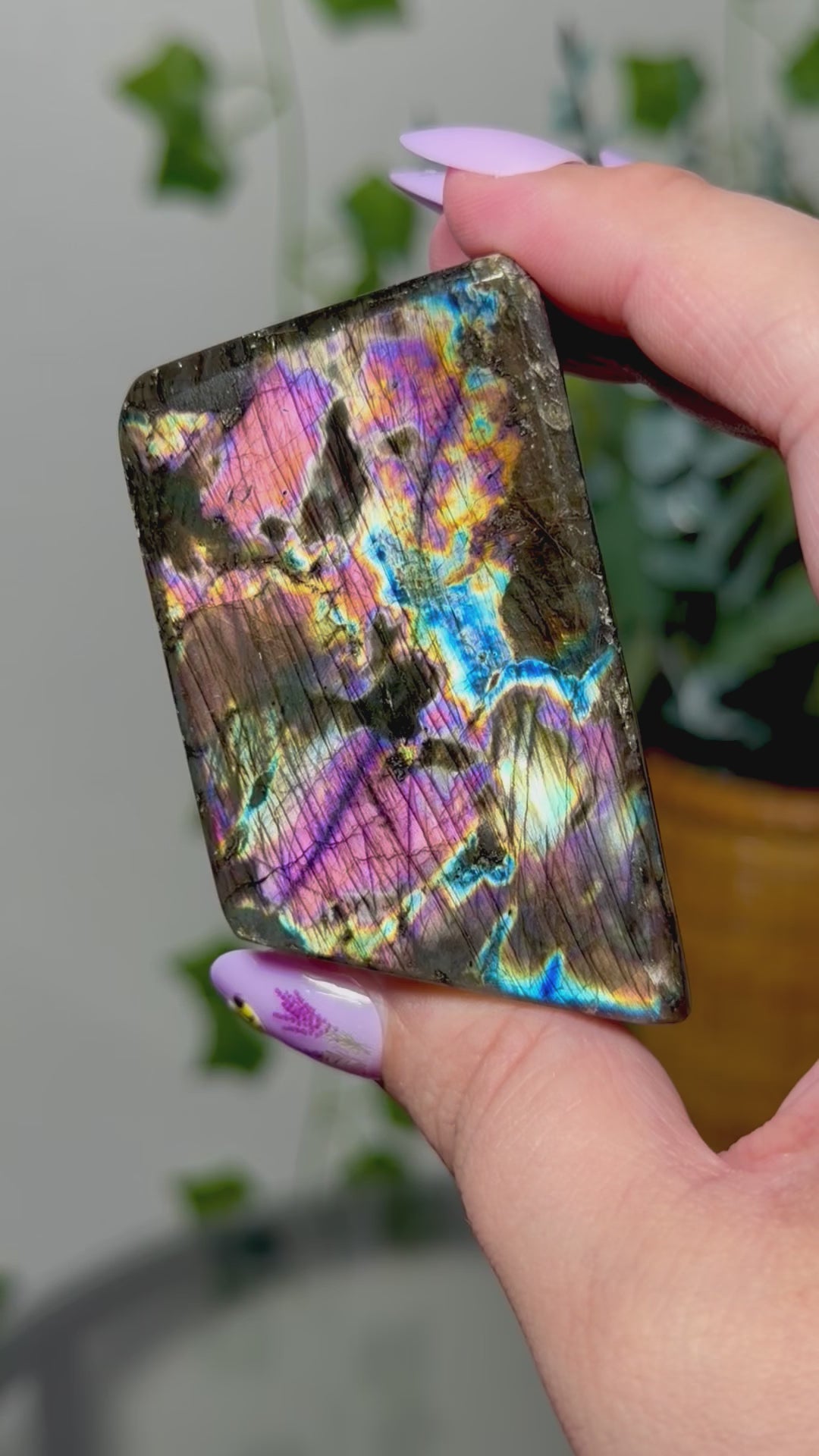 Purple Pink Labradorite Freeform 34