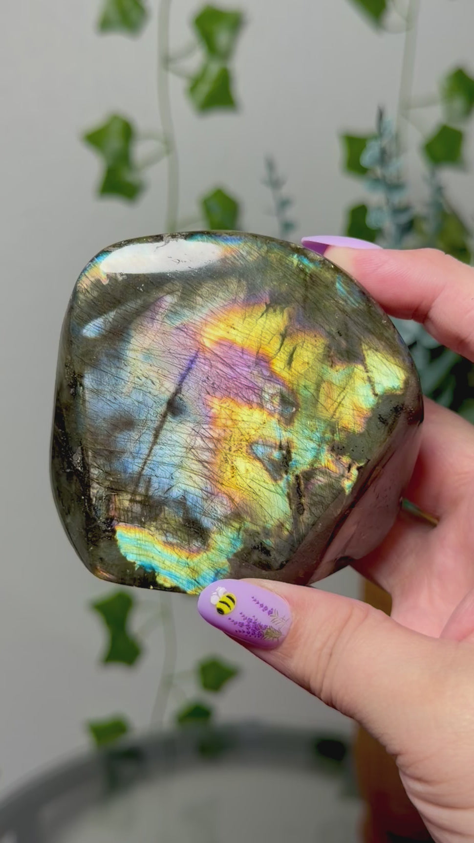Yellow multi color Labradorite Freeform 52