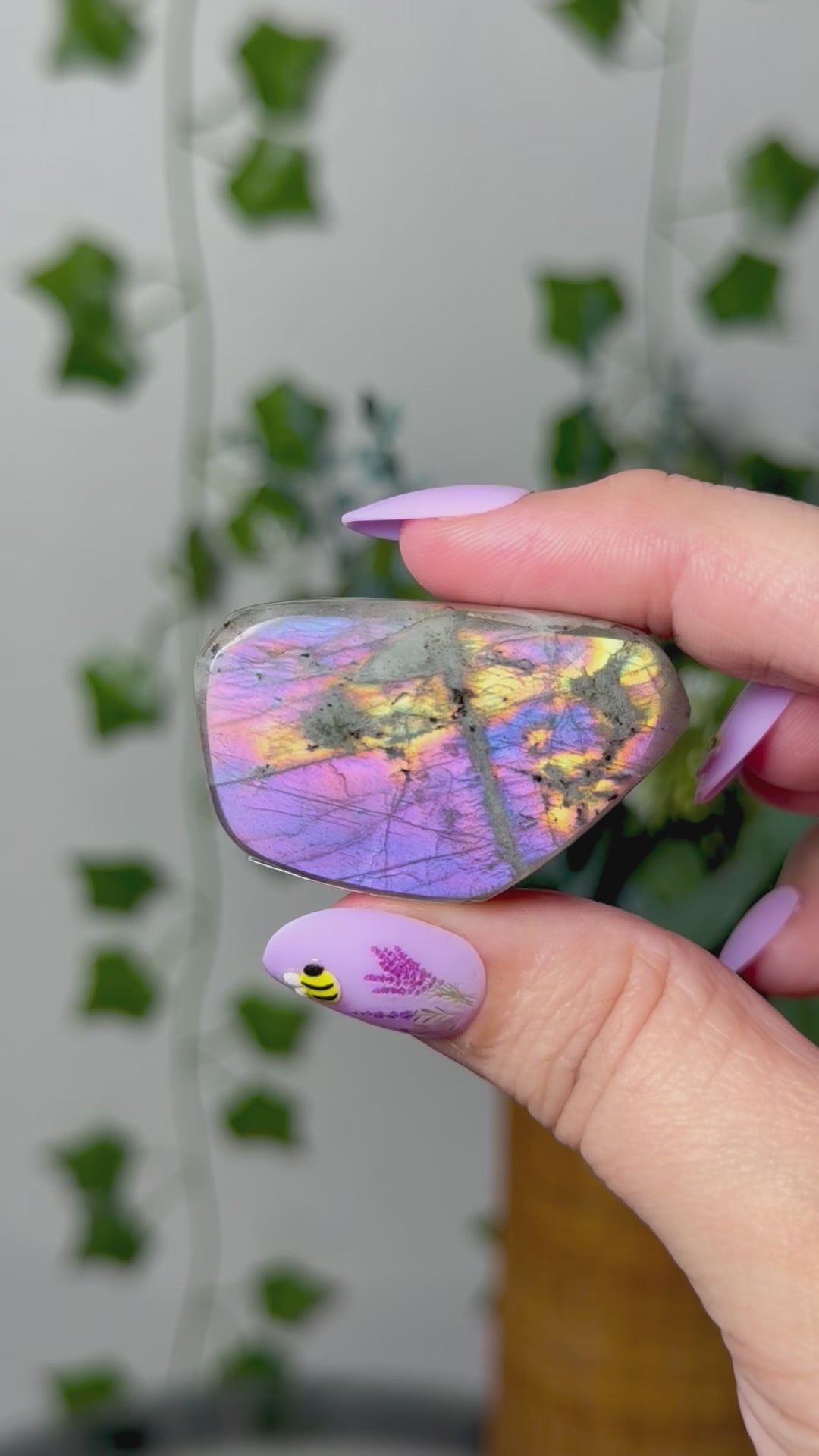 Purple Pink Labradorite 8H
