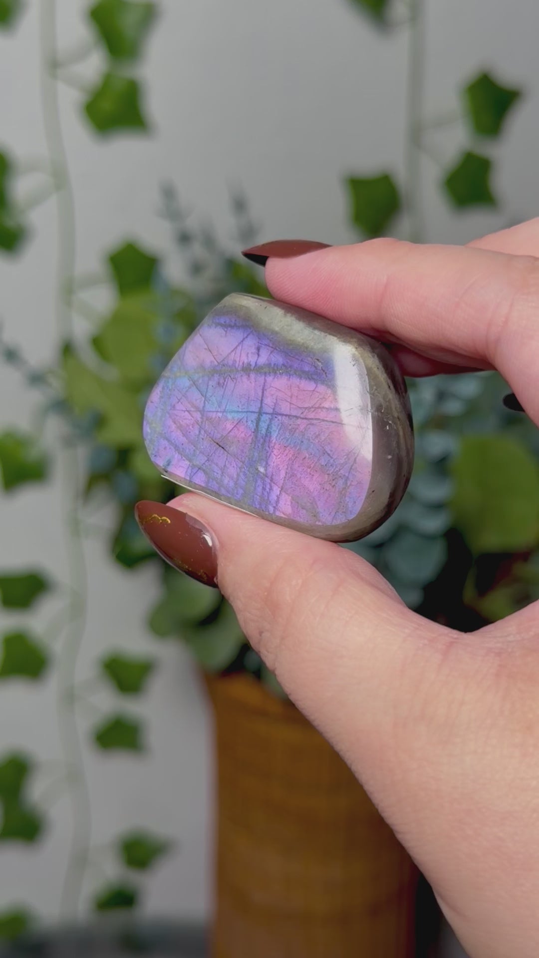 Purple Blue Labradorite 8M