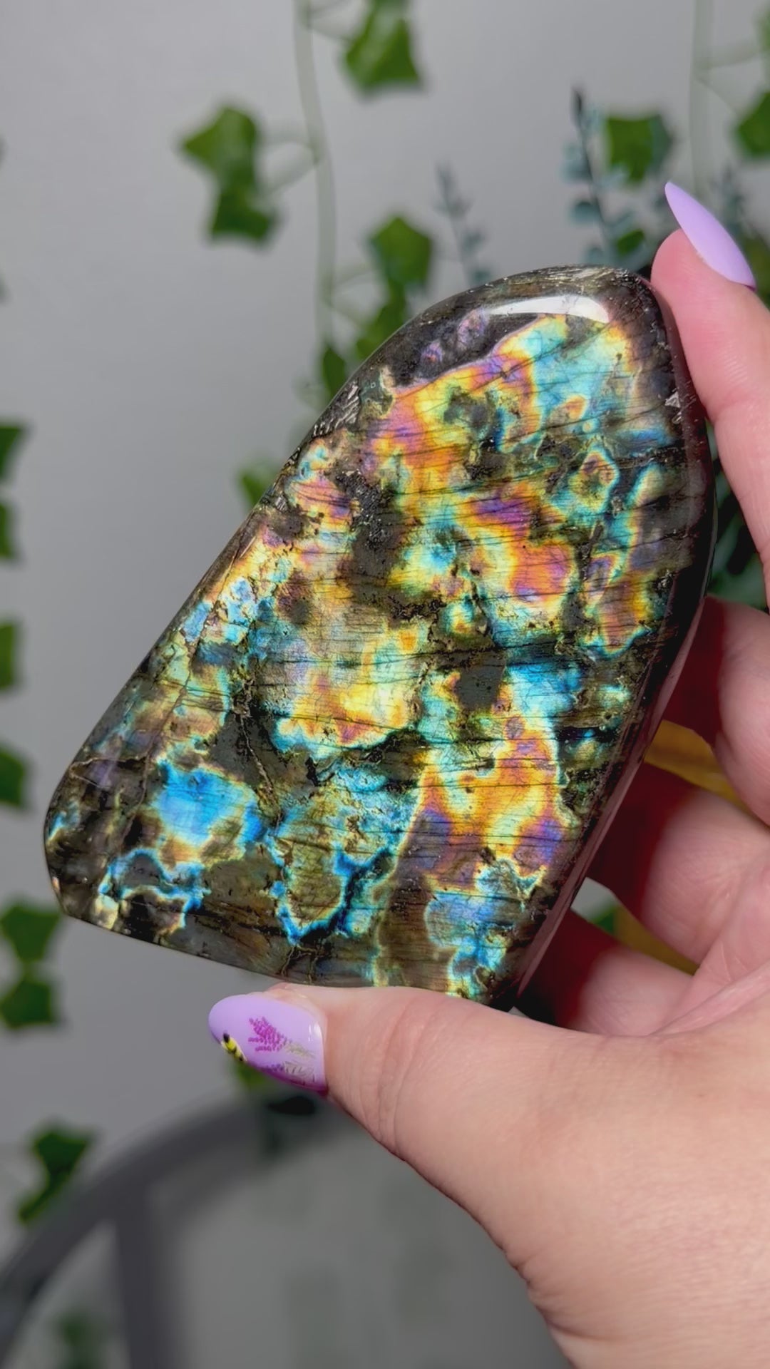 Rainbow Colors Labradorite Freeform 60B