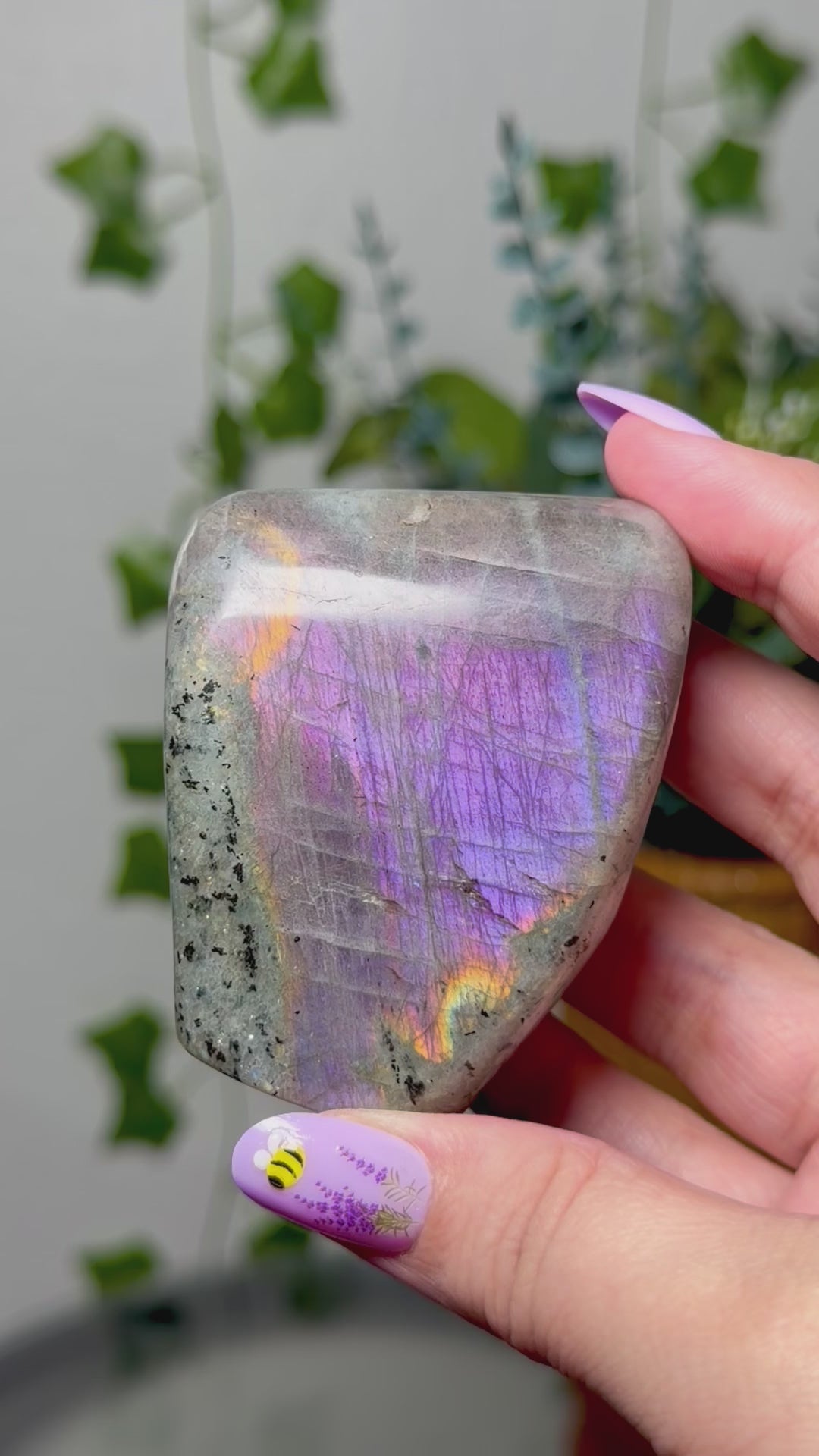Purple Labradorite Freeform 35C