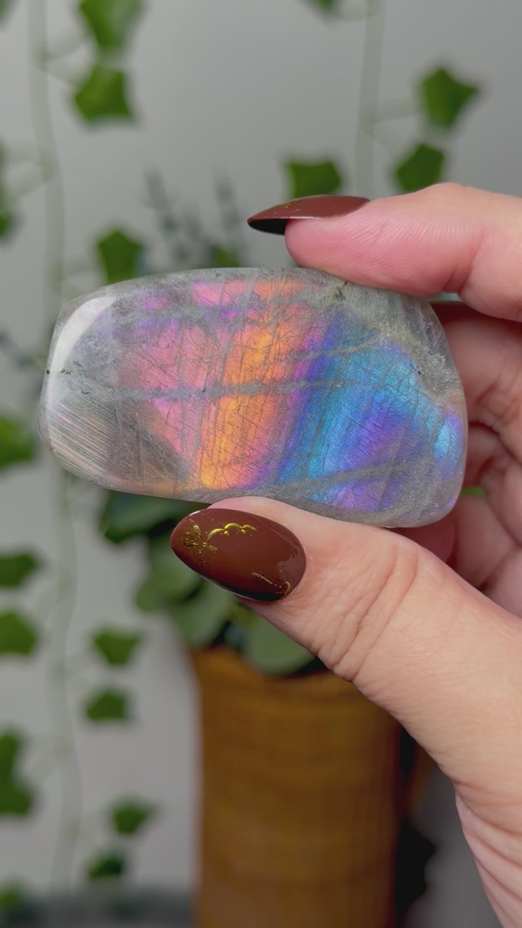 Colorful Labradorite 12M