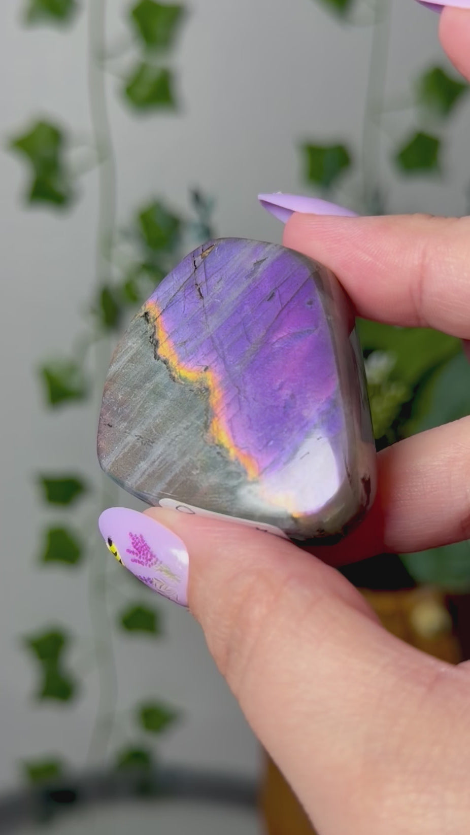 Dual Flash Labradorite 10E