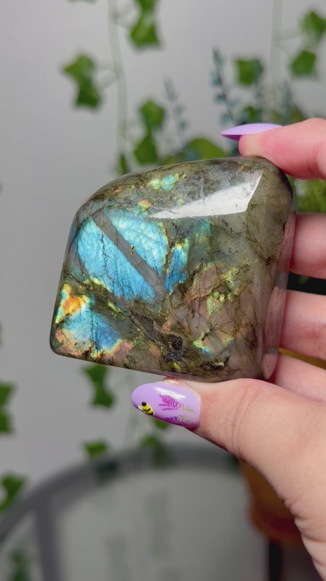 Aqua Multi Color Labradorite 35F