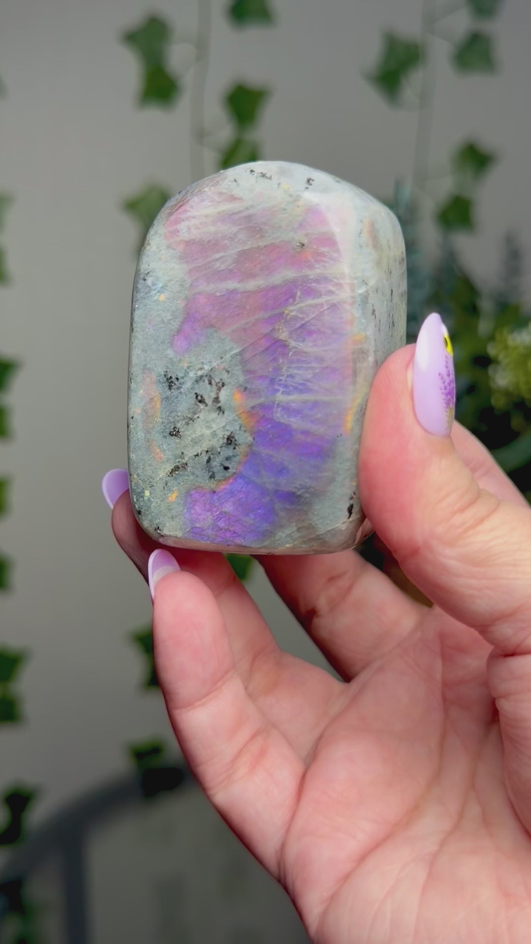 Purple Labradorite Freeform 33