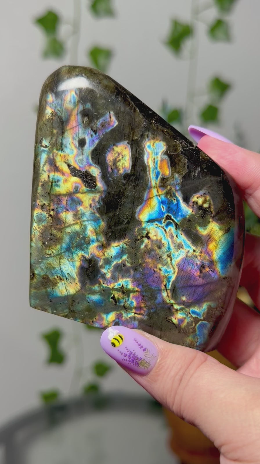 Purple Blue multi Labradorite Freeform 55